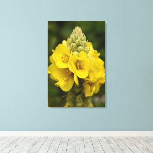 Naturfotografie auf Leinwand (Insitu (Holzboden))