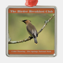 Naturfotografie Cedar Waxwing Vogelbeobachter Ornament Aus Metall