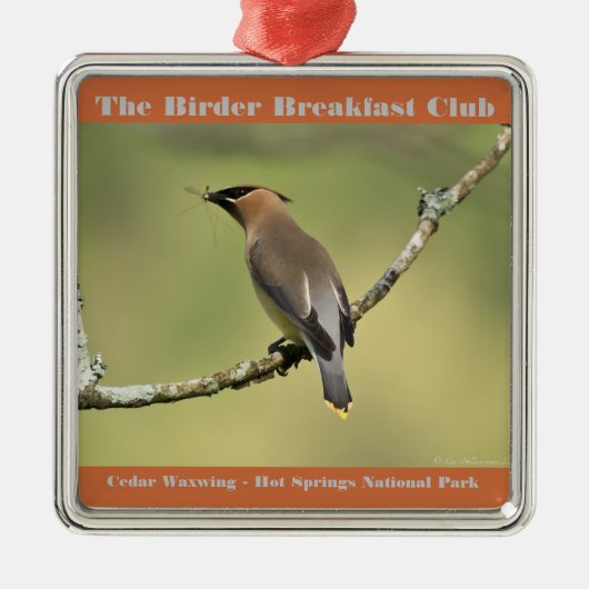Naturfotografie Cedar Waxwing Vogelbeobachter Ornament Aus Metall (Vorne)