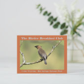 Naturfotografie Cedar Waxwing Vogelbeobachter Postkarte (Stehend Vorderseite)