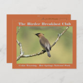 Naturfotografie Cedar Waxwing Vogelbeobachter Postkarte (Vorne/Hinten)