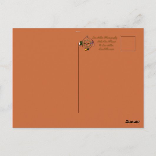 Naturfotografie Cedar Waxwing Vogelbeobachter Postkarte (Rückseite)