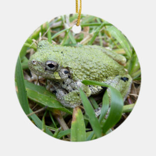 Naturfotografie des Östlichen Grauen Laubfroschs Keramik Ornament