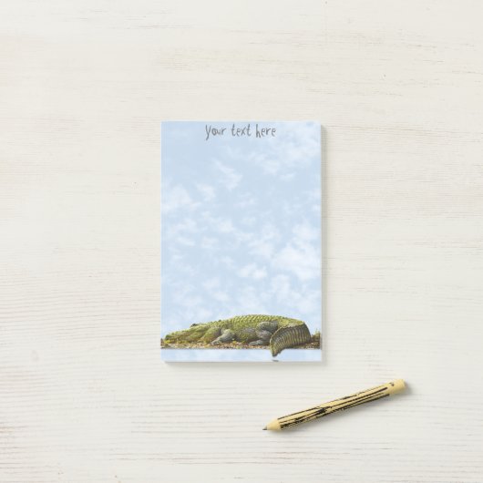 Naturfotografie Großer Gator Panoramaausschnitt Post-it Klebezettel (Auf Schreibtisch)