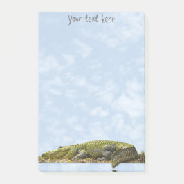 Naturfotografie Großer Gator Panoramaausschnitt Post-it Klebezettel
