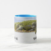 Naturfotografie Großer Gator Panoramaausschnitt Tasse (Zentrum)