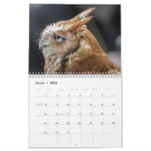 Naturfotografie Kalender (Mär 2026)