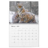 Naturfotografie Kalender (Feb 2027)