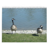 Naturfotografie Kalender (Titelbild)