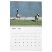 Naturfotografie Kalender (Jan 2026)