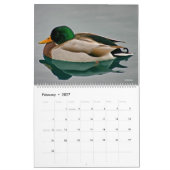 Naturfotografie-Kalender 2022 Kalender (Feb 2027)
