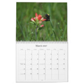 Naturfotografie-Kalender Kalender (Mär 2027)
