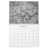 Naturfotografie-Kalender Kalender (Jan 2027)