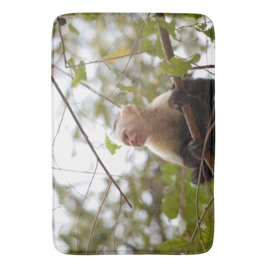 Naturfotografie, Kapuzineraffe Badematte (Vorderseite Vertikal)