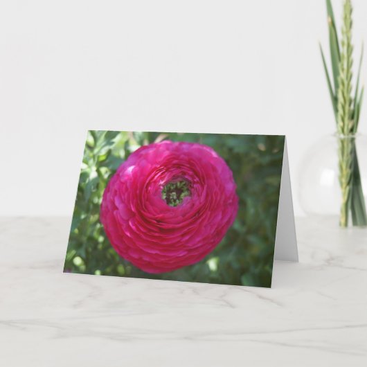 Naturfotografie Karte (Vorderseite)