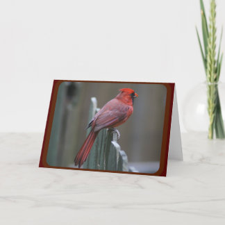 Naturfotografie Karte