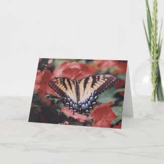Naturfotografie Karte