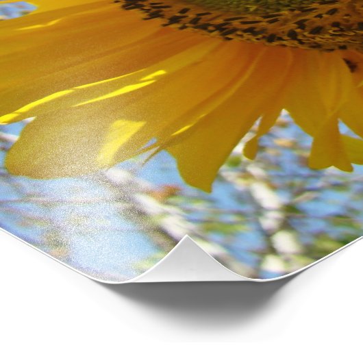 Naturfotografie Kunst druckt Sonnenblumen Fotodruck (Ecke)