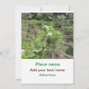 Naturfotografie Pflanze Beachvolleyball Name Einladung