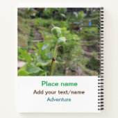 Naturfotografie Pflanze Beachvolleyball Name Notizblock (Rückseite)