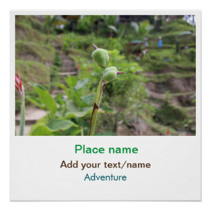 Naturfotografie Pflanze Beachvolleyball Name Poster