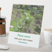 Naturfotografie Pflanze Beachvolleyball Name Sockelschild (In Situ)