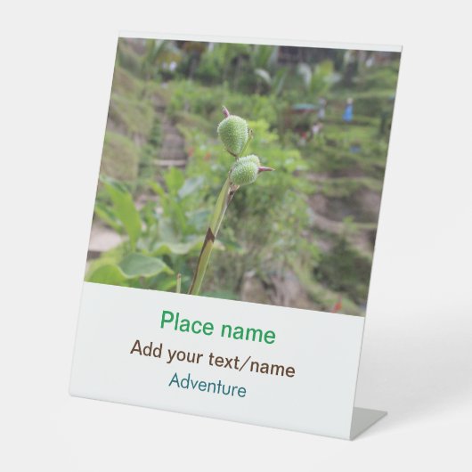 Naturfotografie Pflanze Beachvolleyball Name Sockelschild (Vorderseite)