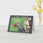 Naturfotografie Pileated Woodpecker Vogelbeobachte Karte (Gelbe Blume)