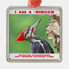 Naturfotografie Pileated Woodpecker Vogelbeobachte Ornament Aus Metall