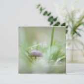 Naturfotografie Pilzkarte (Stehend Vorderseite)
