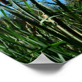 Naturfotografie Poster Christliche Schrift (Ecke)