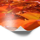 Naturfotografie Rotes Gelbes Herbstblatt Fotodruck (Ecke)