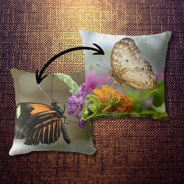 Naturfotografie-Schmetterling auf der Blume Kissen