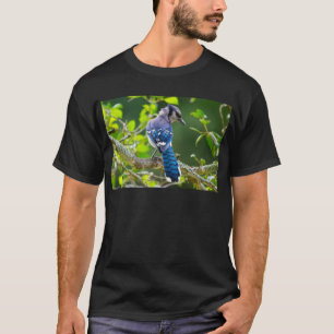 Naturfotografie Schüchterne Blaue Jay Bekleidung G T-Shirt