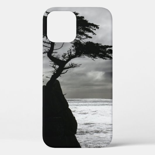 Naturfotografie Schwarz-Weiß Case-Mate iPhone Hülle (Rückseite)