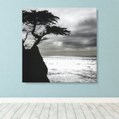 Naturfotografie Schwarz-Weiß Leinwanddruck (Insitu (Holzboden))