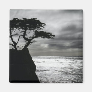 Naturfotografie Schwarz-Weiß Magnet