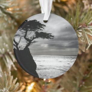 Naturfotografie Schwarz-Weiß Ornament