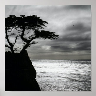 Naturfotografie Schwarz-Weiß Poster