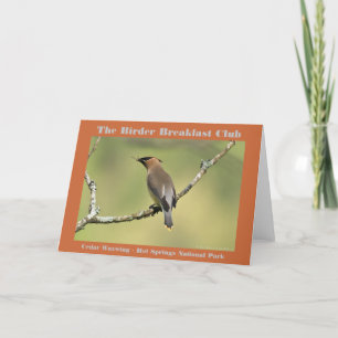 Naturfotografie Seidenschwanz Vogelfotograf Karte