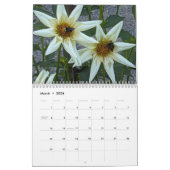 Naturfotografie von Bestäubern Kalender (Mär 2026)