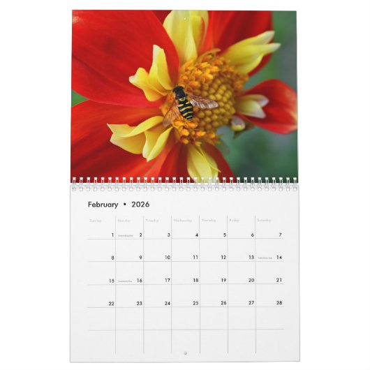 Naturfotografie von Bestäubern Kalender (Feb 2026)