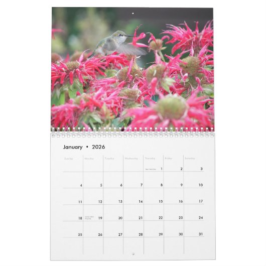 Naturfotografie von Bestäubern Kalender (Jan 2026)