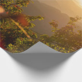 Naturfotografie von grünen Bäumen mit Blick auf de Geschenkpapier (Ecke)