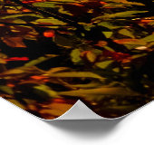 Naturfotografie von grünen Bäumen mit Blick auf de Poster (Ecke)