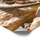 Naturfotografie von Wild Lizard Rustic Poster (Ecke)