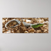 Naturfotografie von Wild Lizard Rustic Poster (Vorne)