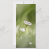 Naturfotokarte (Vorderseite)