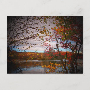 Naturfotos Postkarte