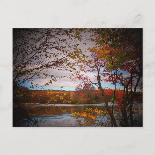 Naturfotos Postkarte (Vorderseite)